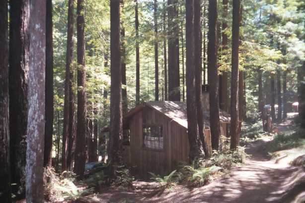 A cabin at Mendocino Woodlands