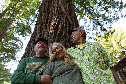 photo of Avant Gardeners in their trio configuration